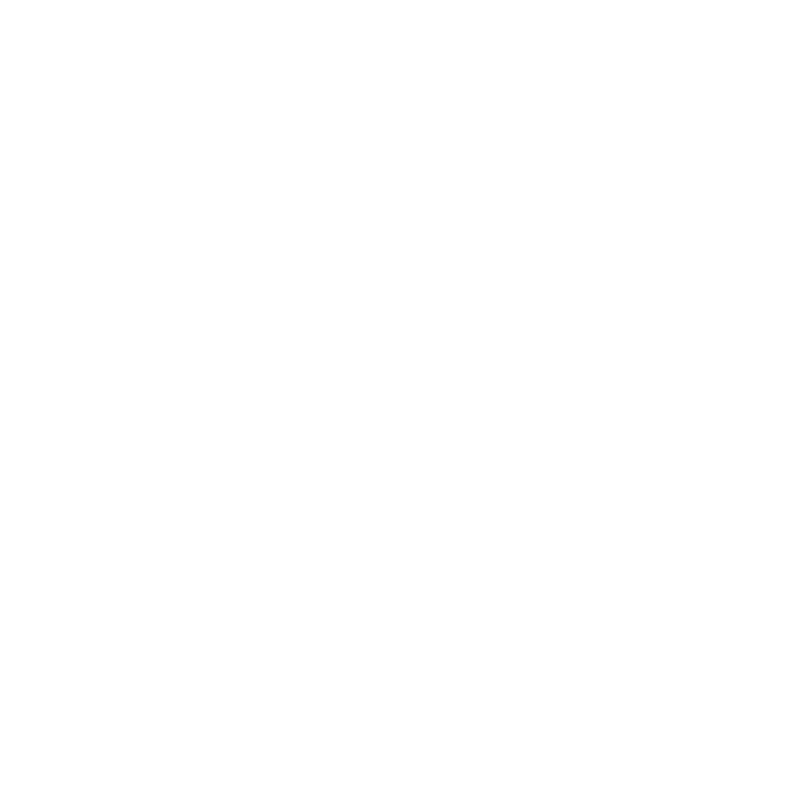 link icon white